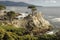 Lone Cypress, Carmel, CA