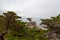 Lone Cypress at Monterey