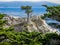 The Lone Cypress, Pebble Beach, CA