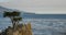 Lone Cypress Sunset Ocean 17 miles Drive Monterey California