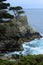 Lone Cypress tree in Monterey Bay along the 17 mile drive