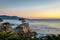 Lone Cypress tree view at sunset along famous 17 Mile Drive - Monterey, California, USA