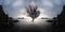 A lone dead tree and partially submerged in the sea on sunset.,