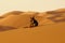 The lone dog in the ERG desert in Morocco