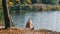 Lone Elderly Fisherman Sitting on the River Bank with a Fishing Rod Catches Fish