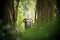 lone elephant under lush jungle canopy