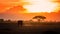 Lone elephant walking through Amboseli at sunset