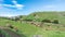 Lone farmhouse in the middle of grassy meadows