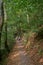 Lone Female Hiker travelling along a path on her way to Burg Eltz in Germany