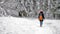 A lone female hiker walks through a snow covered forest in an alpine forest in winter.