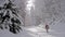 A lone female hiker walks through a snow covered forest in an alpine forest in winter.