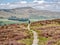 A lone female walker on a stone path in the Yorkshire Dales