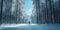 lone figure skiing through a serene, untouched winter forest, with tall trees casting elongated shadows on the pristine