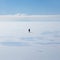 a lone figure standing in the middle of the ocean