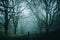 A lone figure standing in a spooky, foggy winter avenue of trees in a path through a forest