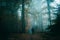 A lone figure stands in an spooky foggy forest looking out