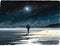 A lone figure taking a leisurely stroll along a pristine shoreline watching seagulls soar under the starry night