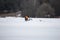 A lone fisherman in a bright life jacket sits on a box on thin spring ice and fishing.