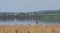 Lone Fisherman on lake