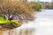 A lone fisherman sits on the Bank of a pond under the crown of a large tree