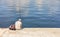 A lone fisherman sits on a concrete pier with a fishing rod near the water on a summer sunny day