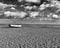 Lone Fishing Boat, Aldeburgh, Suffolk, England