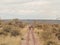 A lone giraffe crossing a rail line in Magadi, Rift Valley, Kenya