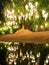 Lone golden Buddha sitting in the lotus position under a large tree