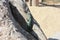 A lone green lizard on a dry trunk of a tree in the middle of the arid desert