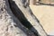 A lone green lizard on a dry trunk of a tree in the middle of the arid desert