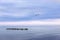 A lone gull flies over the sea in the distance. Panorama of the sea with breakwaters.