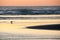 Lone Gullon the Beach at Sunset at Cannon Beach Oregon