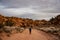 Lone Hiker Heads Down Wire Pass Trail