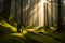A lone hiker resting on a moss-covered boulder in a dense, ancient forest. Shafts of sunlight pierce through the canopy