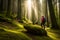 A lone hiker resting on a moss-covered boulder in a dense, ancient forest. Shafts of sunlight pierce through the canopy