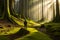 A lone hiker resting on a moss-covered boulder in a dense, ancient forest. Shafts of sunlight pierce through the canopy