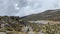 A lone hiker walks along a mountain path. Beautiful mountain landscape. Climbing Kilimanjaro, Africa.A lone hiker walks along a