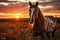 Lone horse amidst sunrise blaze, sunrise and sunset wallpaper