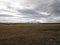 Lone horse in patagonian plain