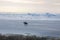 Lone Horse Rider on Beach