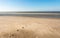 Lone horse rider in the surf