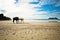 Lone Horses Beach Shore, Costa Rica