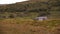 A lone house in the green hills of Ireland