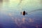 A lone Kayaker on Ladybird Lake, Austin, Texas