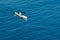 Lone Kayaker on the Pacific