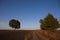 A lone large oak tree and a cross in the middle of an agricultural field