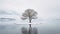 Lone lonely tree in winter snow and lake solitude, minimalist. Generative AI weber.