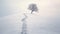 Lone lonely tree in winter snow and lake solitude, minimalist. Generative AI weber.