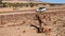 Lone Man hikes though northern Namibia