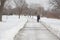 Lone man walking along toronto beaches